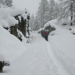 Schneeschuhläufer spuren durch den Tiefschnee