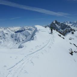 Blick von den Albulalpen in die Berninagruppe mit Piz Bernina und Biancograt