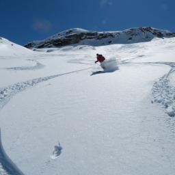 Traumabfahrt mit Ski in feinstem Pulverschnee